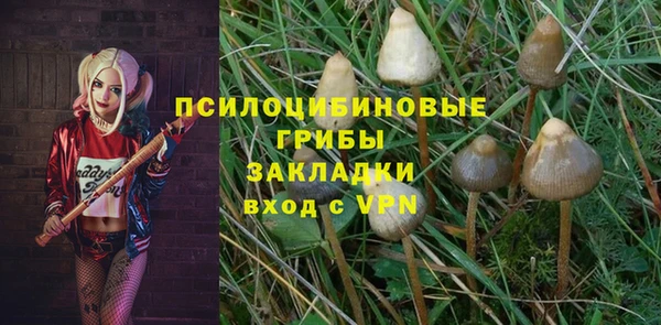 СК Алексеевка