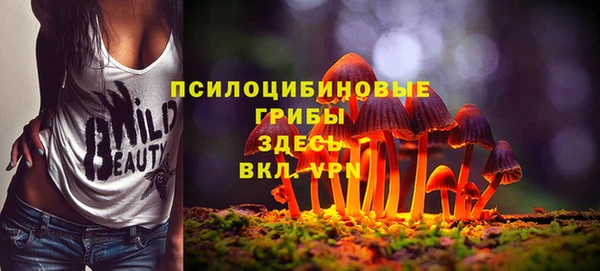 не бодяженный Алзамай