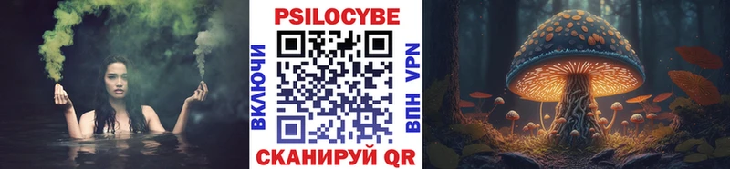 закладки  Чистополь  Галлюциногенные грибы мухоморы 